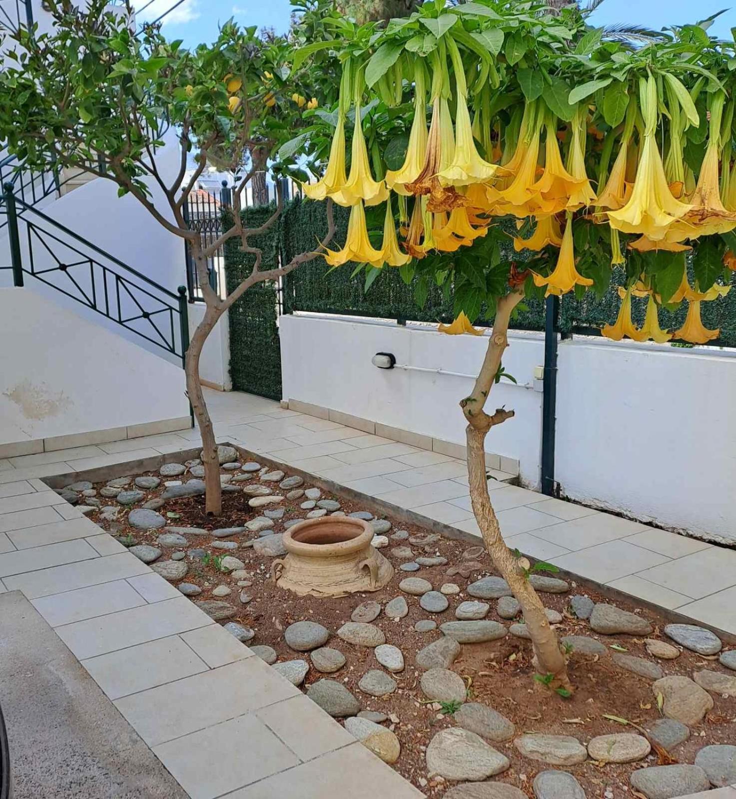 Vicky'S Place,Near Athens Airport Koropi Esterno foto